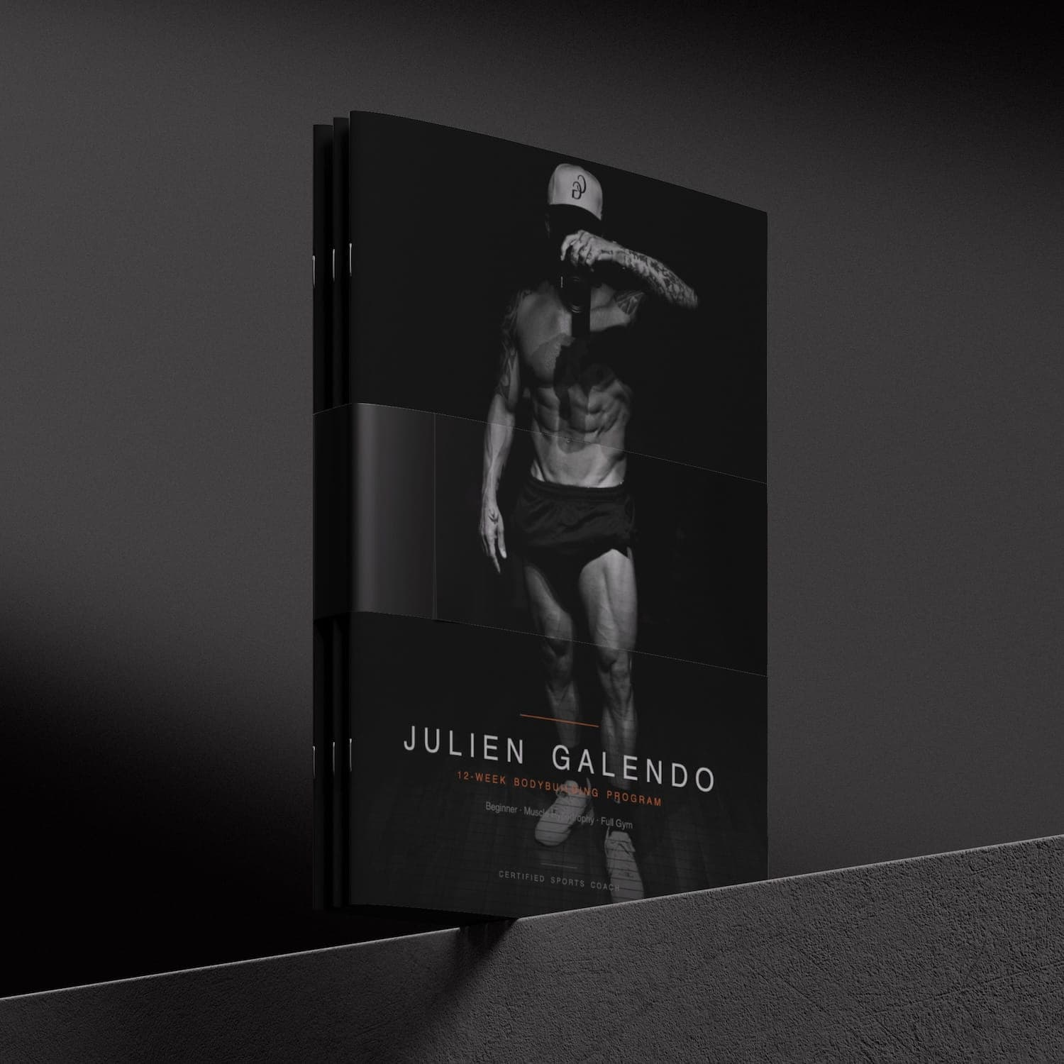 Julien Galendo 12 Week BodyBuilding Program eBook
